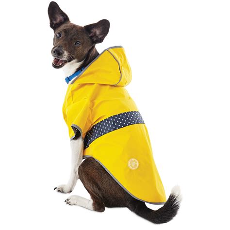 best raincoat for small dogs.